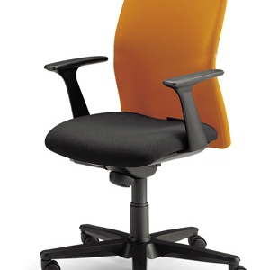 The chair of the working