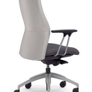 The chair of the working