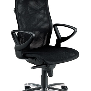 The chair of the working