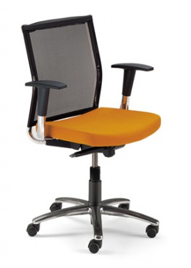 The chair of the working