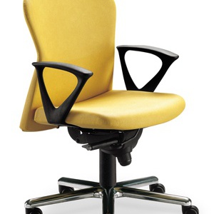 The chair of the working