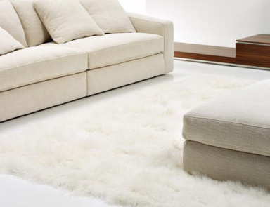 Poof Tobias, Frighetto