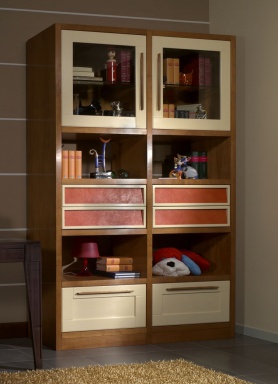 The bookcase in the nursery