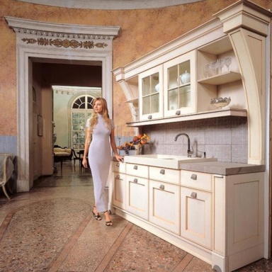 Kitchen furniture kitchen) Palladio