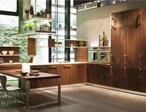Kitchen (kitchen set) E-Wood by Snaidero