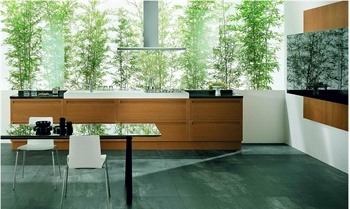 Kitchen (kitchen set) Terra Snaidero