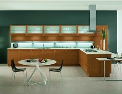 Kitchen (kitchen set) Terra Snaidero