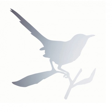 Taylor Bird Mirror