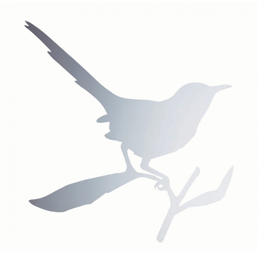 Wall mirror Bird Taylor, Driade