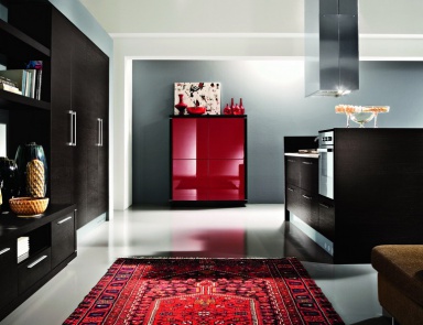 Kitchen furniture kitchen), Astra