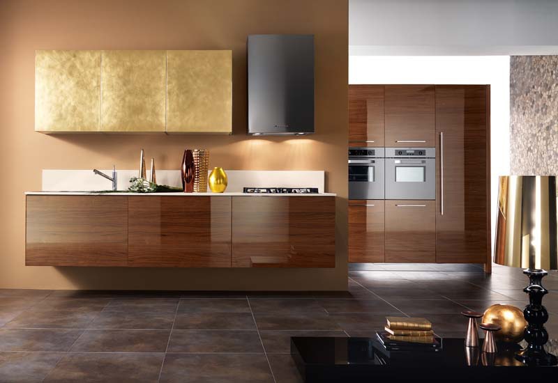 Kitchen furniture kitchen), Astra