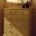 Chest