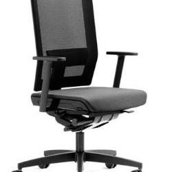 The Chair Of Modo