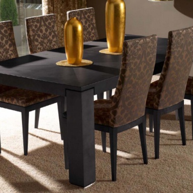 Dining room (furniture dining room)