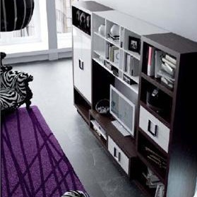 Modular storage system 