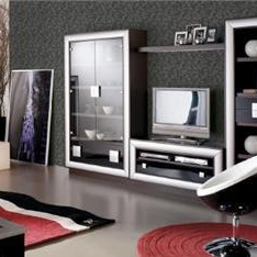 Modular storage system 