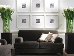 The Couch Tina, Softhouse