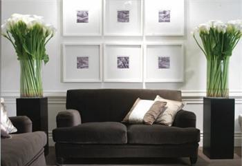 The Couch Tina, Softhouse