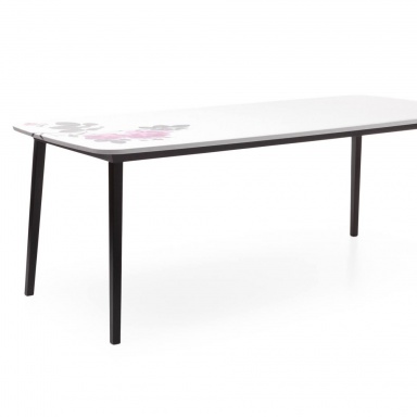 Table 5 O Clock Table