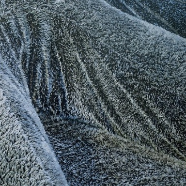 The Aster Papposus Sofa