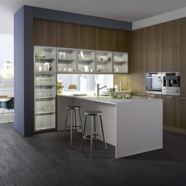 Kitchen furniture kitchen)