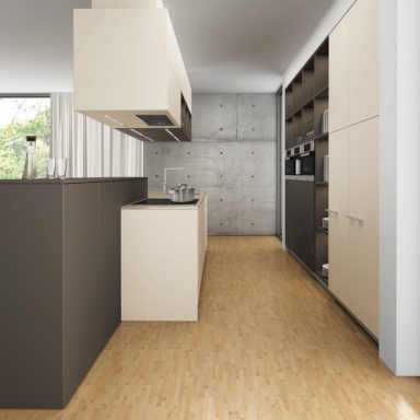 Kitchen furniture kitchen)