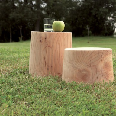 Coffee table Legno Vivo