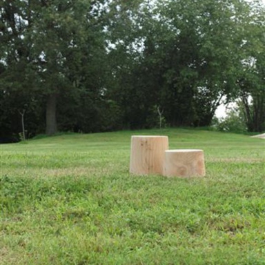 Coffee table Legno Vivo