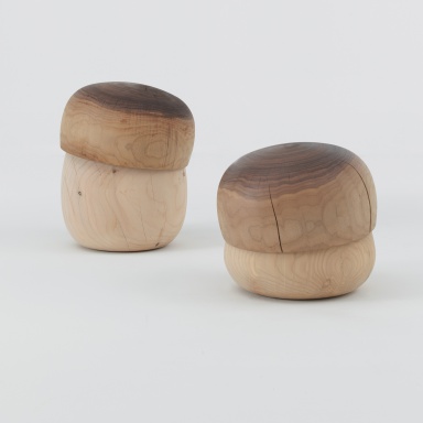 The Fungo Stool