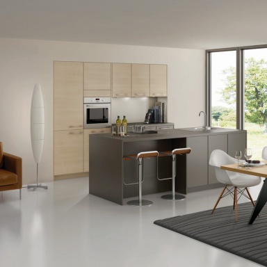 Kitchen furniture kitchen)