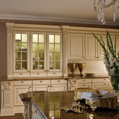 Kitchen furniture kitchen)