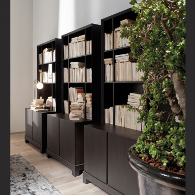 Bookcase Douglas