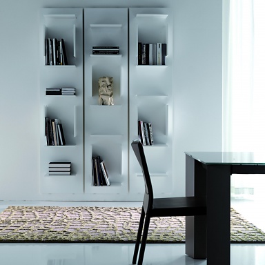 Fifty bookcase