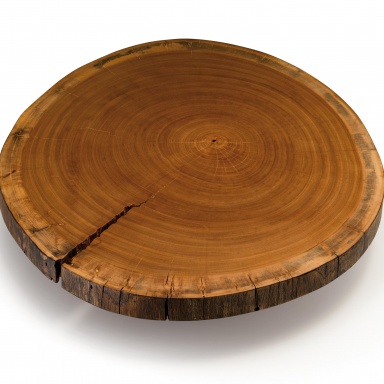 Sequoia coffee table