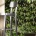 The bar stool InOut 28