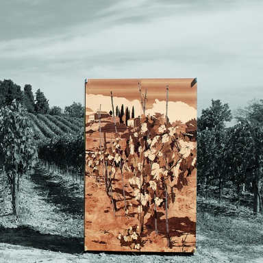 Wine Cabinet Vino Colonna