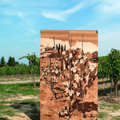 Wine Cabinet Vino Colonna