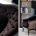Chair Marta Classic