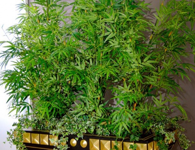 Flower pot Flowers, Vismara