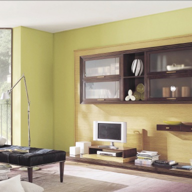 Modular system for TV Issues.