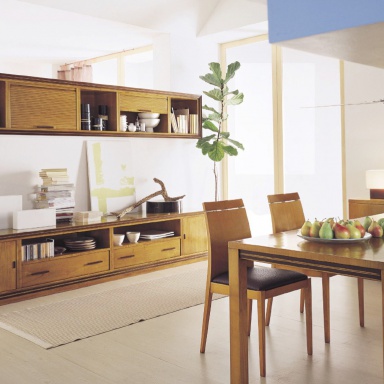 Modular system for TV Issues.