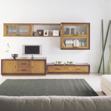 Modular system for TV Issues.