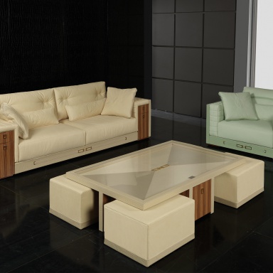 Living room (sofa set) SuitCase