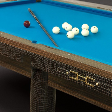 The billiard table Playing A Round