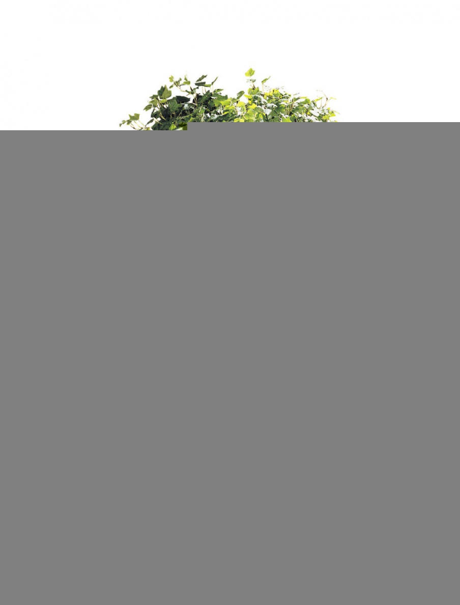 Stand for flowers made from natural wood, Francesco Molon