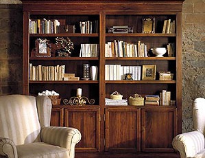 Is it a library, DOLFI