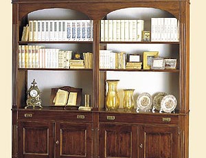 Is it a library, DOLFI