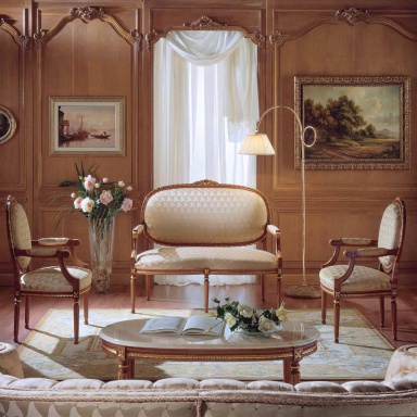 Living room (sofa set) Salotto