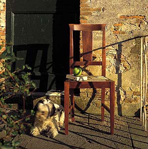 Chair made of solid wood, DOLFI