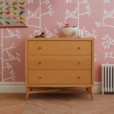 The Cabinet Mid-Century